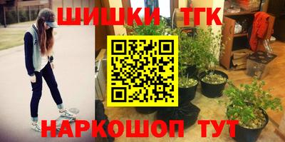 a pvp Лесосибирск