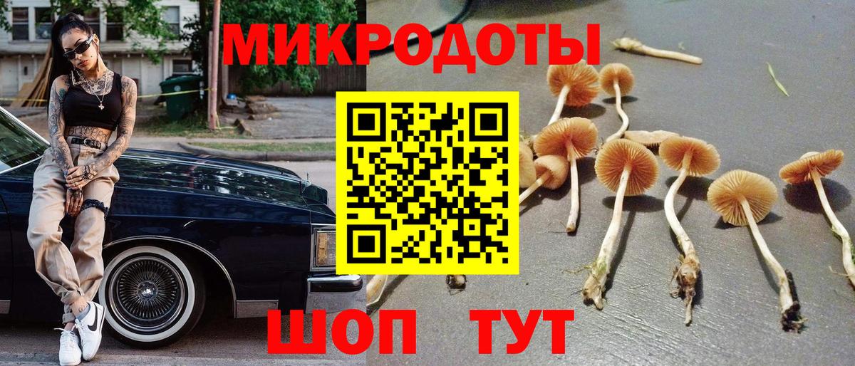 Галлюциногенные грибы Psilocybine cubensis  Вход с VPN  Дзержинск 